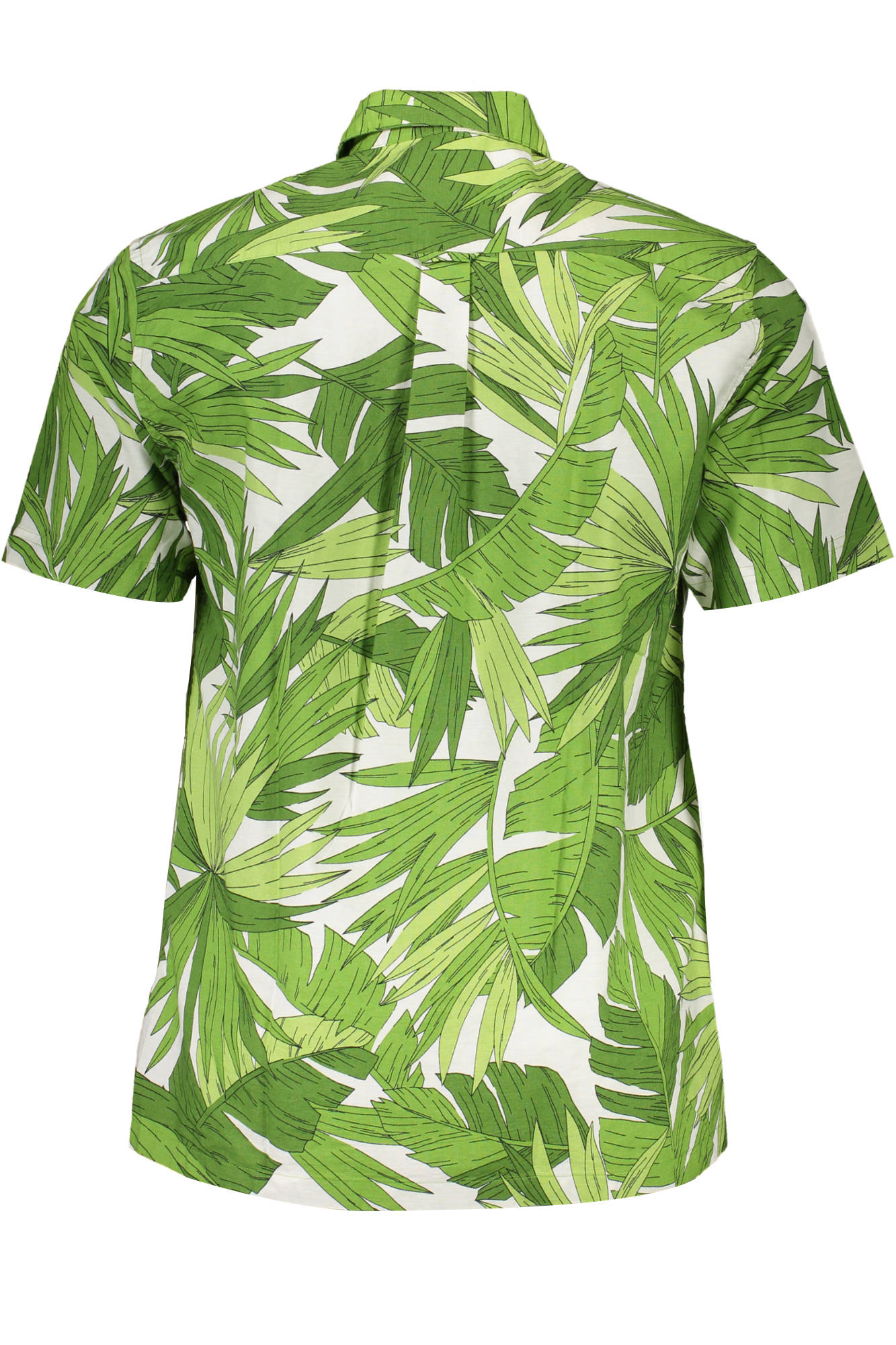 GANT CAMICIA MANICHE CORTE UOMO VERDE