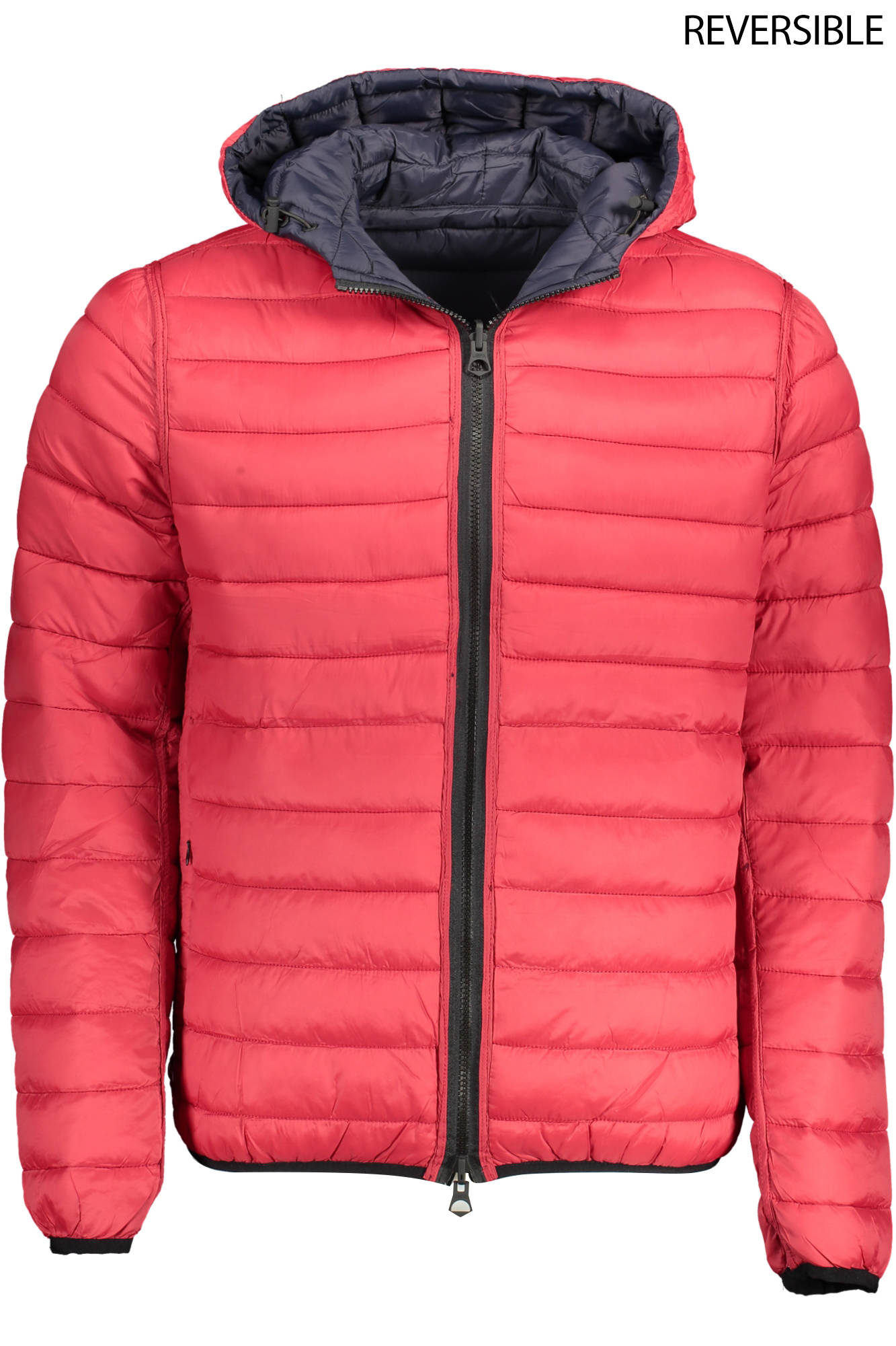 U.S. POLO ASSN. GIUBBOTTO UOMO BLU